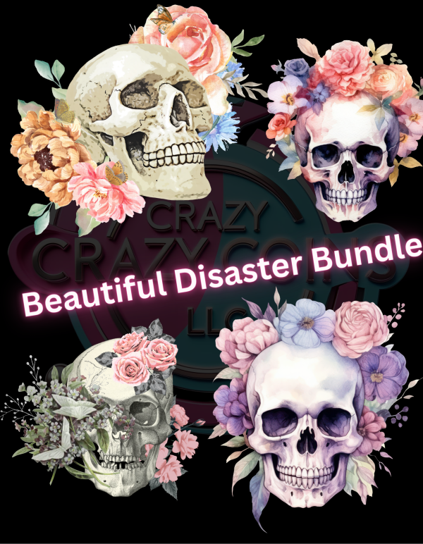 Beautiful Disaster Bundle
